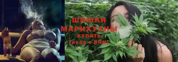 тгк Дмитровск