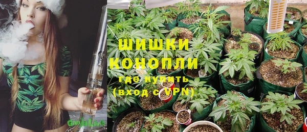 ГАЛЛЮЦИНОГЕННЫЕ ГРИБЫ Алексин