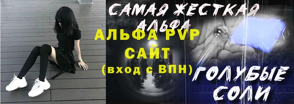 хмурый Каменка
