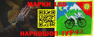 Альфа ПВП Дубна