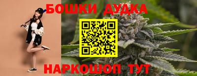 Альфа ПВП Дубна
