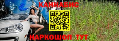 Альфа ПВП Дубна
