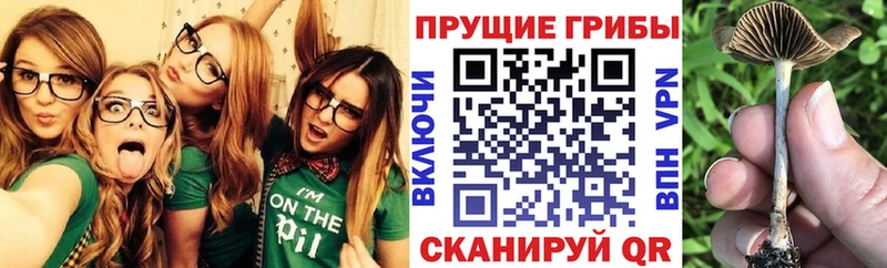 Галлюциногенные грибы мухоморы  Гуково 