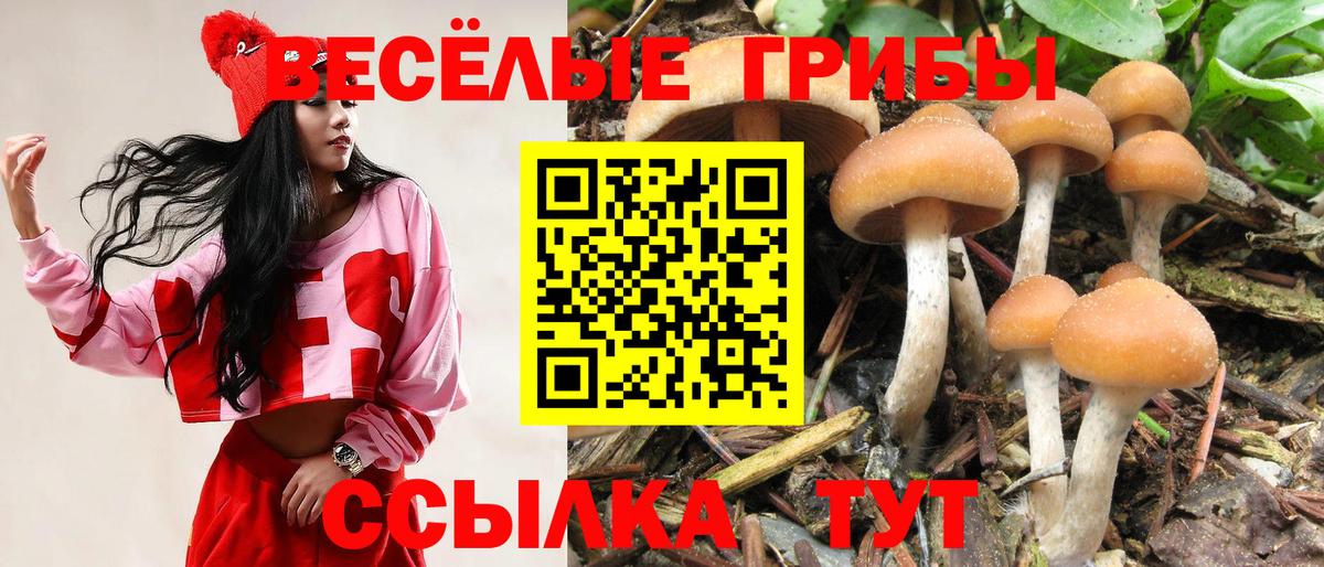 Псилоцибиновые грибы GOLDEN TEACHER Гуково